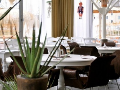 Foto: Die Blaue Agave